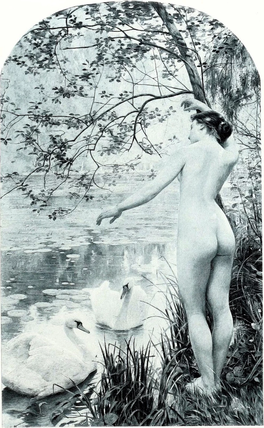 Ragazza e i cigni
